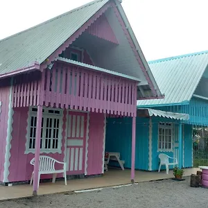 Do Gravatá Penha (Santa Catarina)